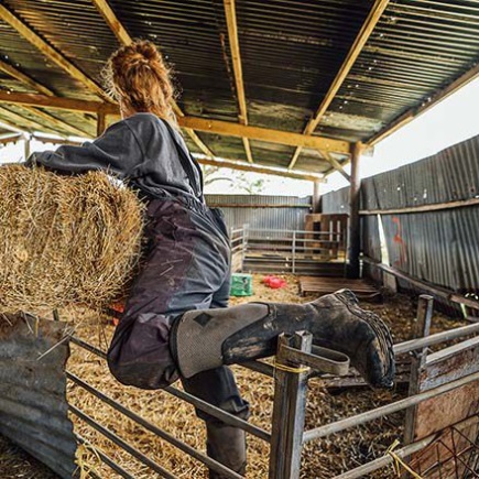 Women's Arctic Sport II Tall MUCKBOOT black