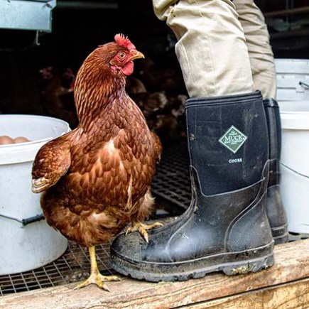 MUCKBOOT Men's Chore Mid black