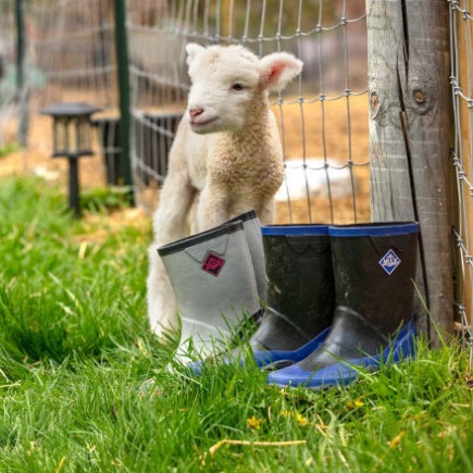 MUCKBOOT Kid's Forager Boot black